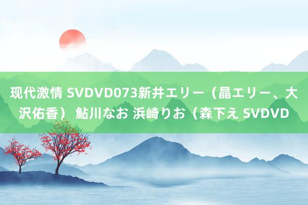 现代激情 SVDVD073新井エリー（晶エリー、大沢佑香） 鮎川なお 浜崎りお（森下え SVDVD