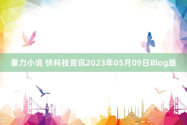 暴力小说 快科技资讯2023年05月09日Blog版