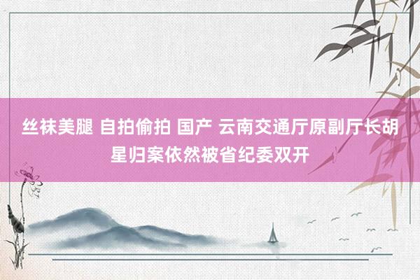 丝袜美腿 自拍偷拍 国产 云南交通厅原副厅长胡星归案依然被省纪委双开