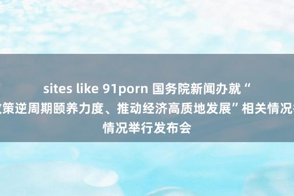 sites like 91porn 国务院新闻办就“加大财政政策逆周期颐养力度、推动经济高质地发展”相关情况举行发布会