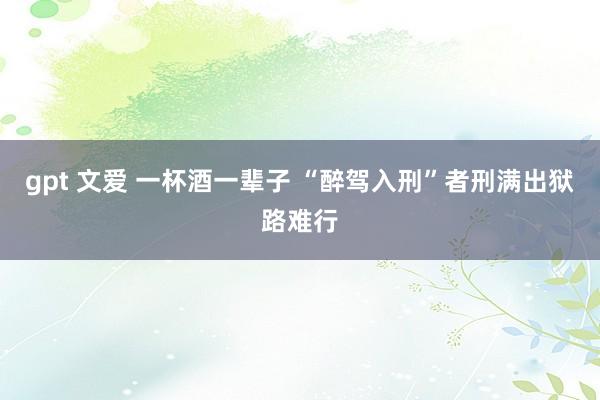 gpt 文爱 一杯酒一辈子 “醉驾入刑”者刑满出狱路难行