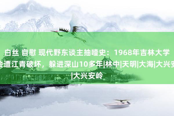 白丝 自慰 现代野东谈主抽噎史：1968年吉林大学教会遭江青破坏，躲进深山10多年|林中|天明|大海|大兴安岭