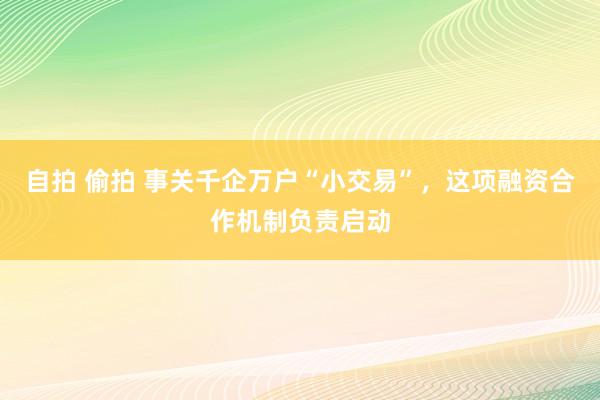 自拍 偷拍 事关千企万户“小交易”，这项融资合作机制负责启动