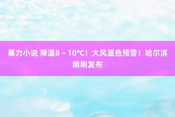 暴力小说 降温8～10℃！大风蓝色预警！哈尔滨刚刚发布