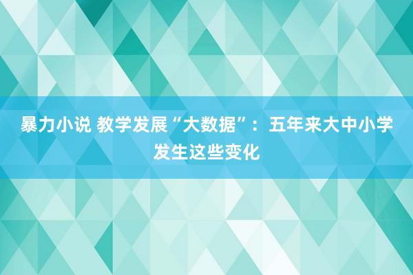 暴力小说 教学发展“大数据”：五年来大中小学发生这些变化