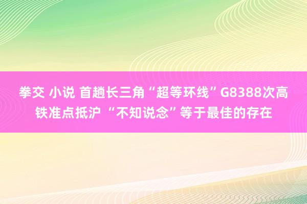 拳交 小说 首趟长三角“超等环线”G8388次高铁准点抵沪 “不知说念”等于最佳的存在