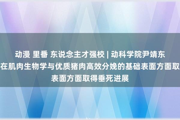 动漫 里番 东说念主才强校 | 动科学院尹靖东教讲课题组在肌肉生物学与优质猪肉高效分娩的基础表面方面取得垂死进展