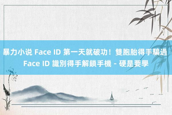 暴力小说 Face ID 第一天就破功！雙胞胎得手騙過 Face ID 識別得手解鎖手機 - 硬是要學